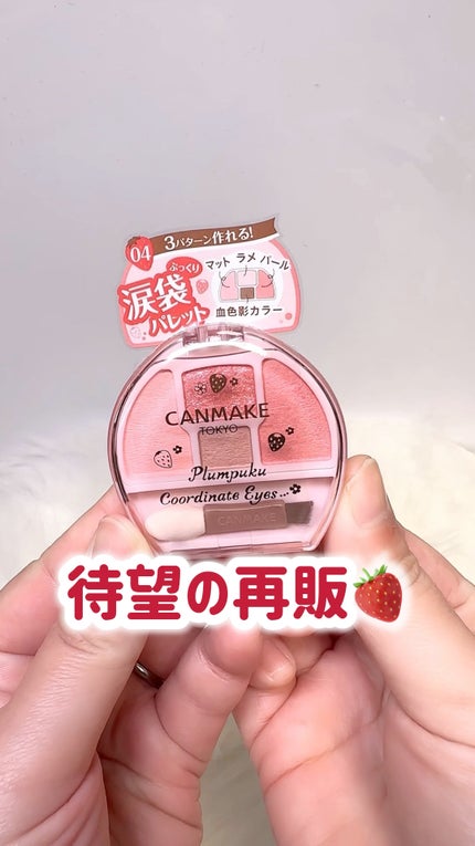 プランぷくコーデアイズ/キャンメイク/パウダーアイシャドウの人気ショート動画