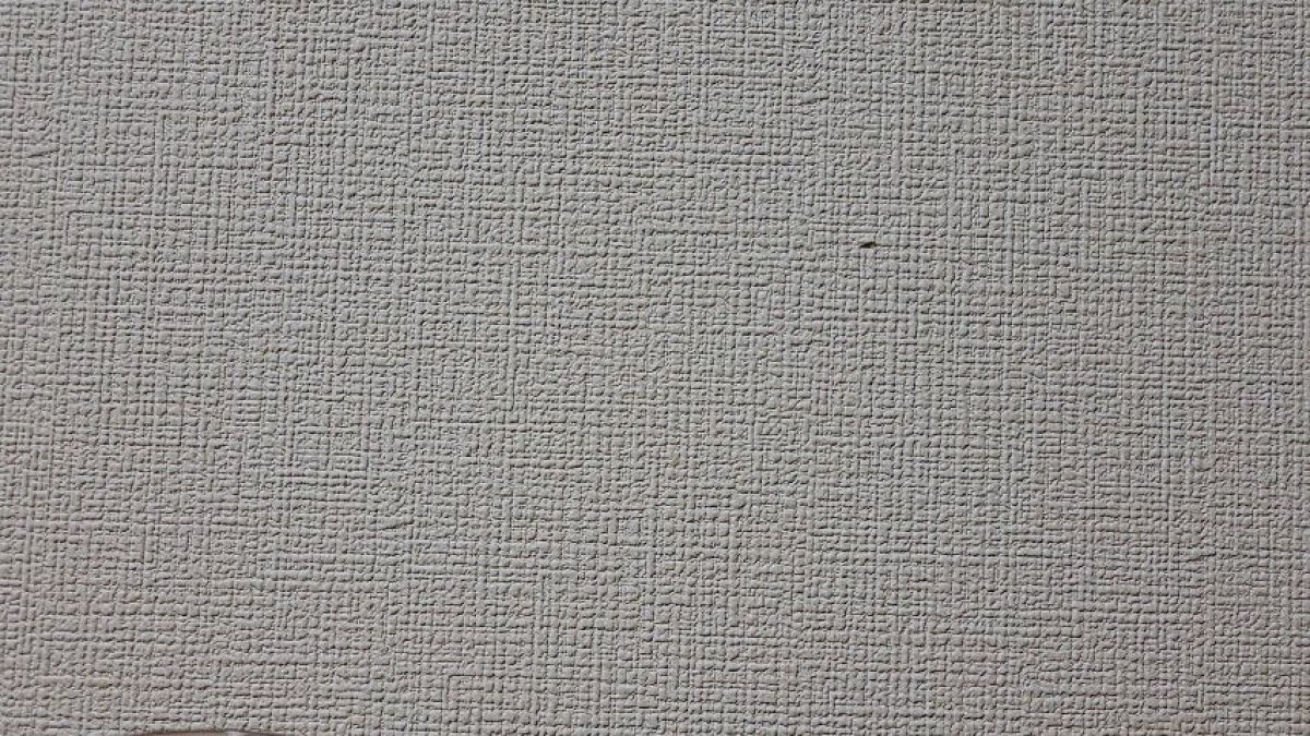 シリコーンブラシ/WATTS/メイクブラシを使ったクチコミ（3枚目）