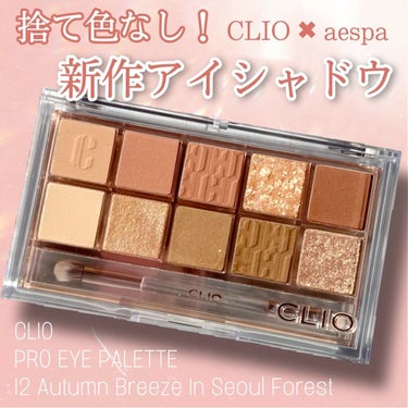 プロ アイ パレット/CLIO/アイシャドウパレットを使ったクチコミ（1枚目）