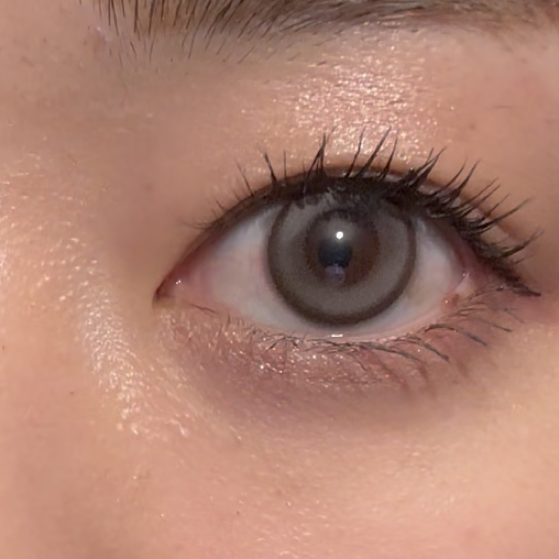 MEW GREGE/malun malun/ワンデー（１DAY）カラコンを使ったクチコミ（2枚目）