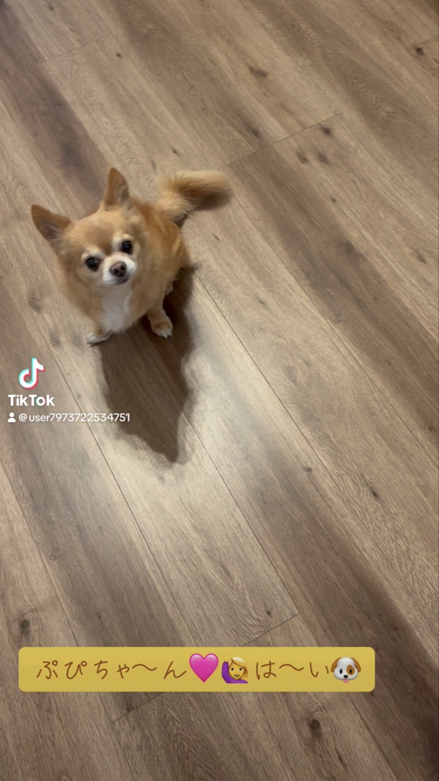 ハンドソープ MNT(ピーチフローラル)/ジェラートピケ/ハンドソープの動画クチコミ1つ目