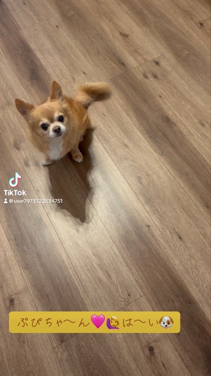 ハンドソープ MNT(ピーチフローラル)/ジェラートピケ/ハンドソープの動画クチコミ1つ目