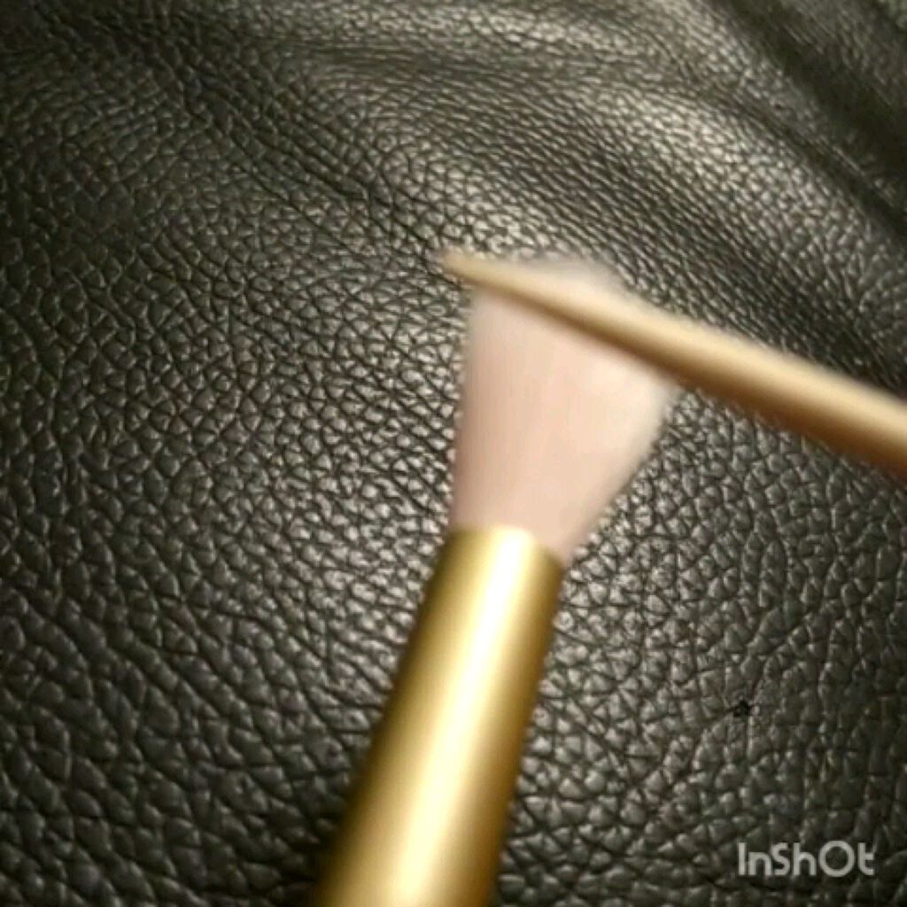 【DAISO✖TGC】メイクブラシ/DAISO/メイクブラシの動画クチコミ1つ目