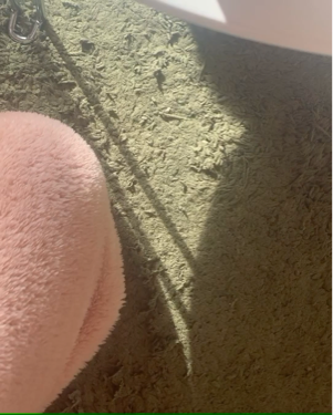 BBオールインワンクレンザー/Elishacoy/洗顔フォームを使ったクチコミ（3枚目）