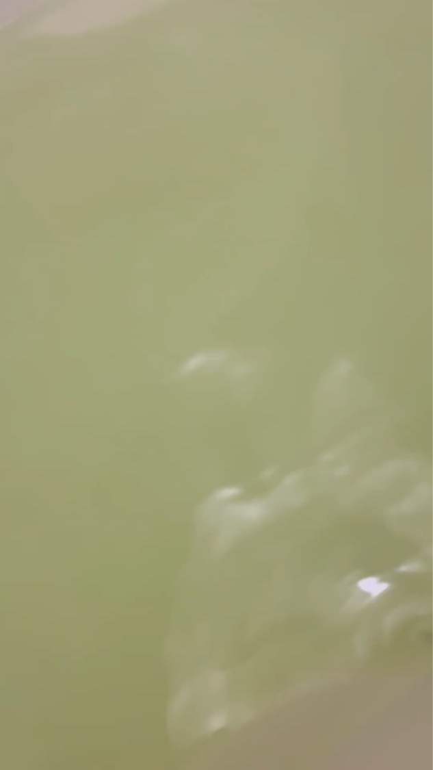 ゆずジンジャーの香り/爆汗湯/無機塩系入浴剤を使ったクチコミ（2枚目）