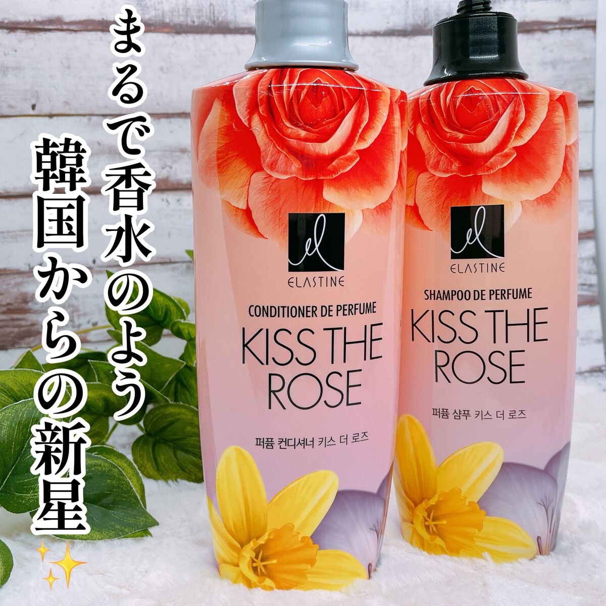 パフュームシャンプー＆コンディショナー/エラスチン/シャンプー・コンディショナーの人気ショート動画