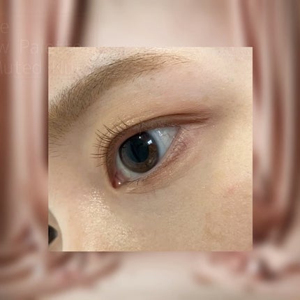 シャドウパレット/dasique/アイシャドウパレットを使ったクチコミ(6枚目)