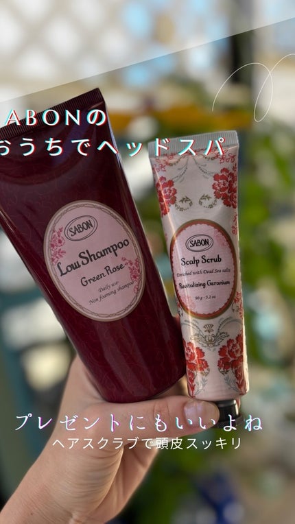 試してみた】SABON ローシャンプーのリアルな口コミ・レビュー 試してみた】SABON ローシャンプーのリアルな口コミ・レビュー