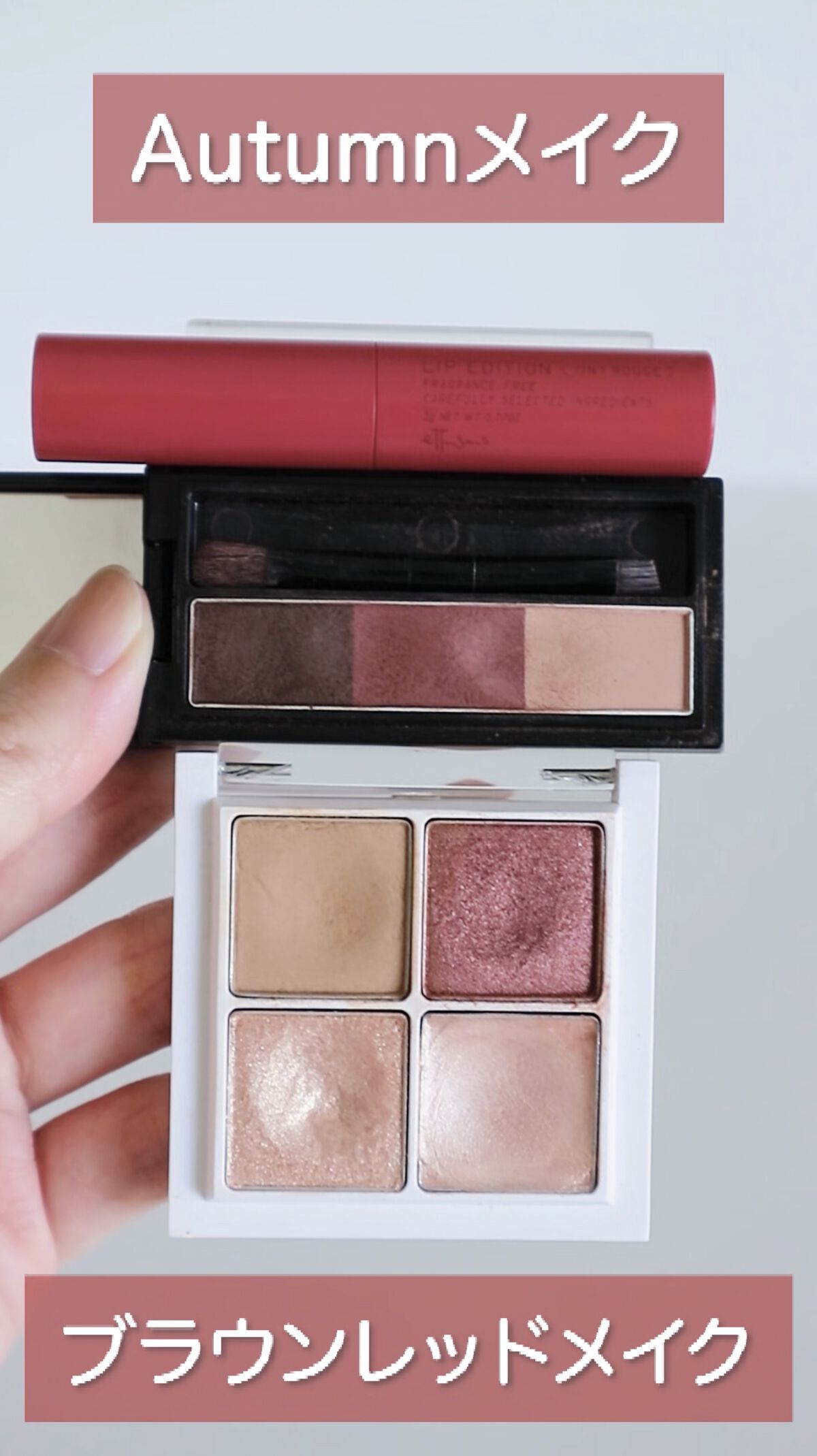 エテュセ リップエディション(ティントルージュ)/ettusais/リップティントの動画クチコミ3つ目