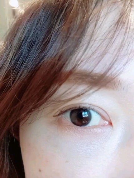 パーフェクトマルチアイズ/キャンメイク/アイシャドウパレットの人気ショート動画