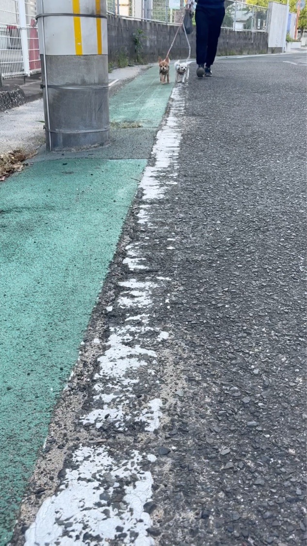 ランテルディ ボディミルク/GIVENCHY/ボディミルクの動画クチコミ1つ目