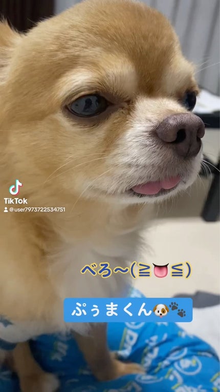 ディオールスキン フォーエヴァー スキン コレクト コンシーラー/Dior/リキッドコンシーラーを使ったクチコミ(6枚目)