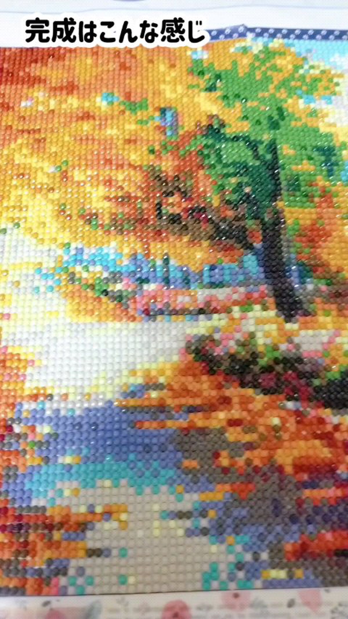 SHEIN購入品/SHEIN/その他を使ったクチコミ（1枚目）