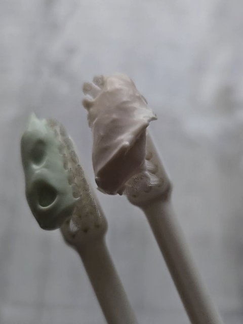 京の抹茶はみがき　薬用緑練り/京都やまちや/歯磨き粉を使ったクチコミ（1枚目）