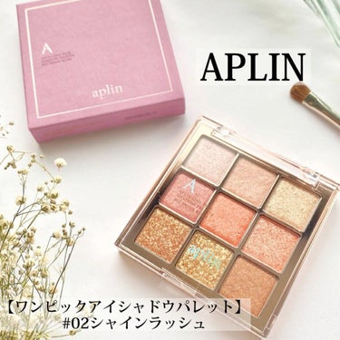 ワンピックアイシャドウパレット/APLIN/アイシャドウパレットを使ったクチコミ（1枚目）