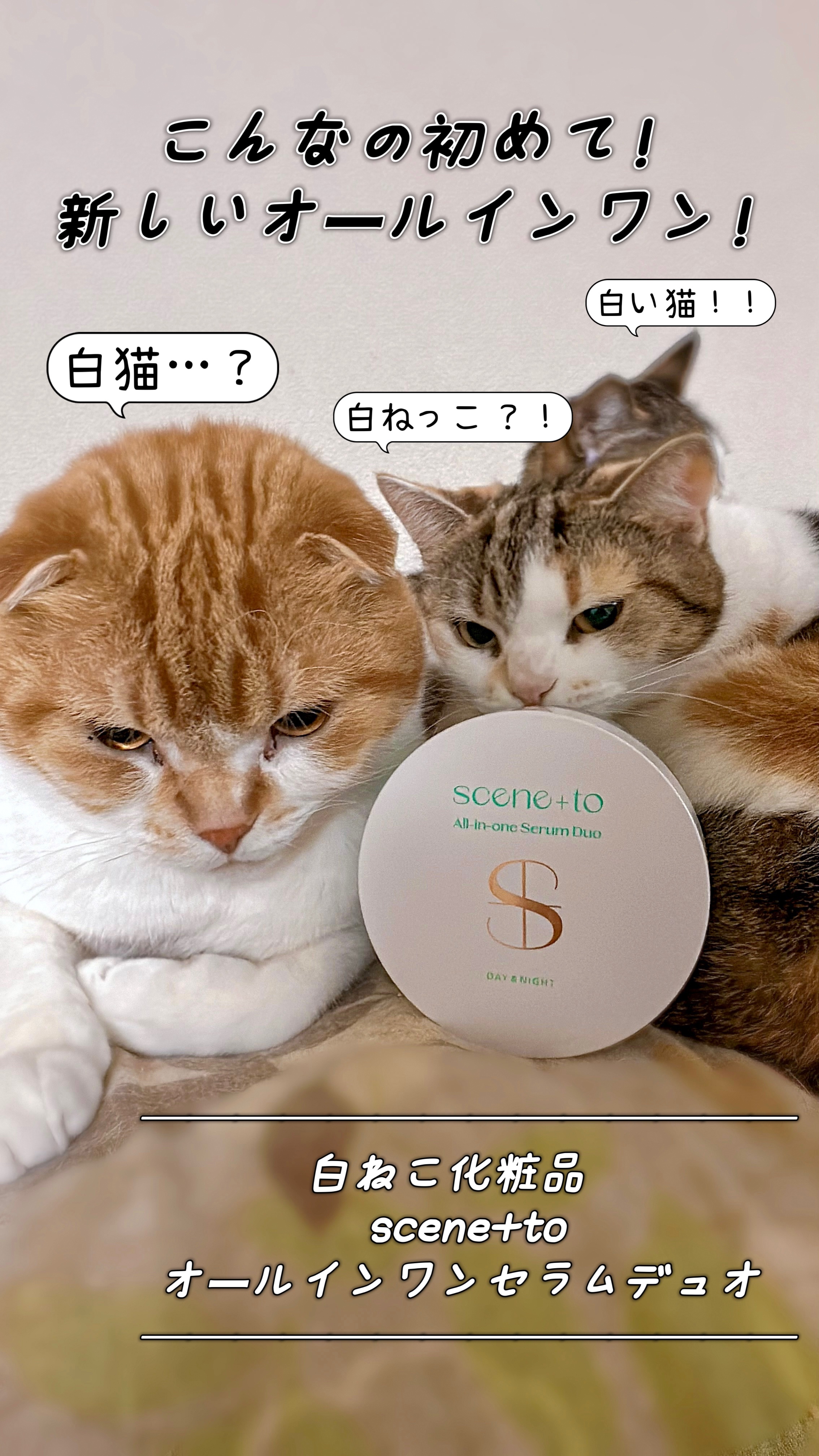 こんなの初めて！
新しいオールインワン！

ネーミングも可愛いᡣ𐭩⊹
──────────────
白ねこ化粧品　
scene+to
オールインワンセラムデュオ 
──────────────

CICAツボクサエキス(保湿成分)を配合さ