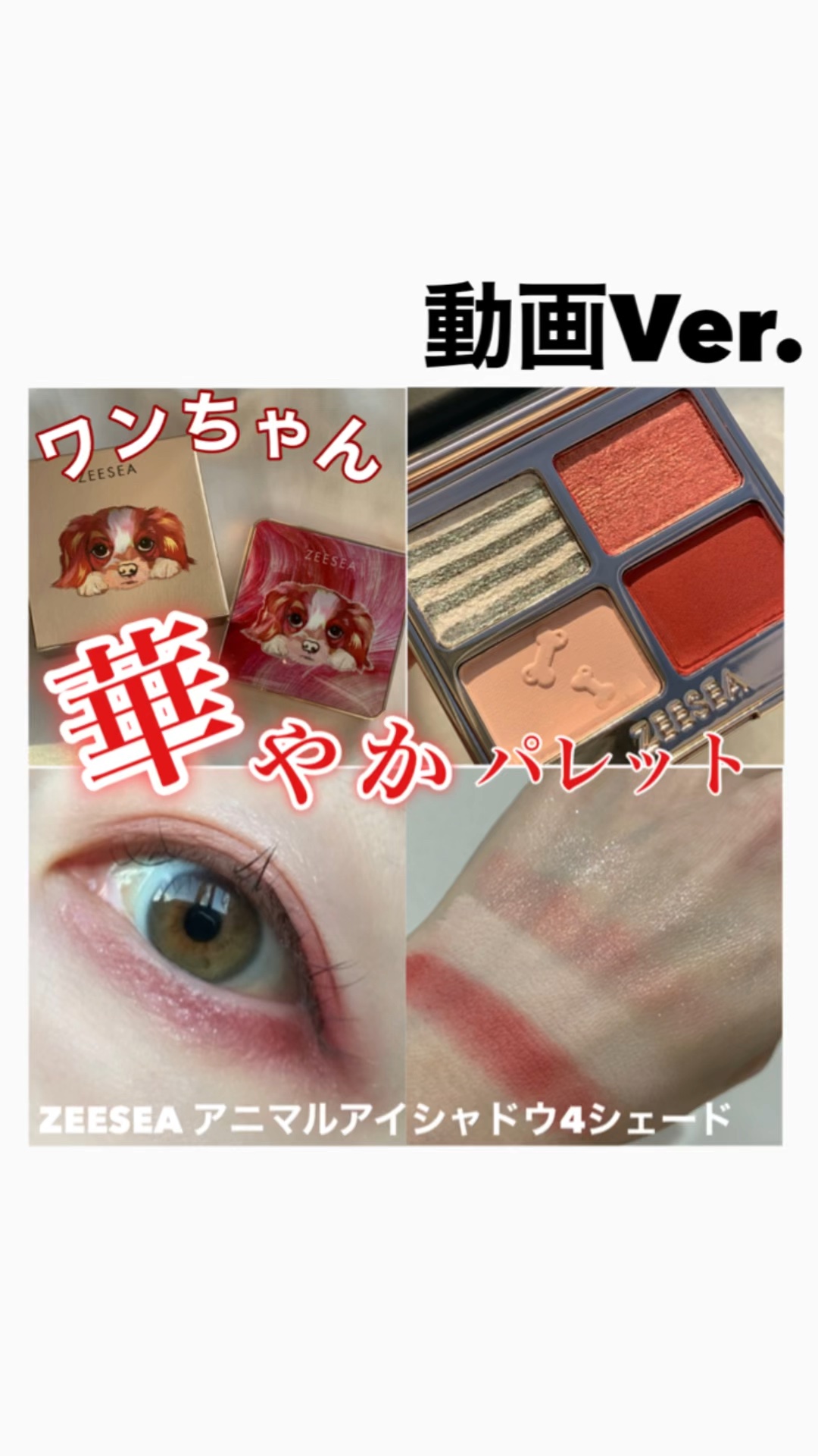アニマルアイシャドウ(4シェード)/ZEESEA/アイシャドウパレットの人気ショート動画