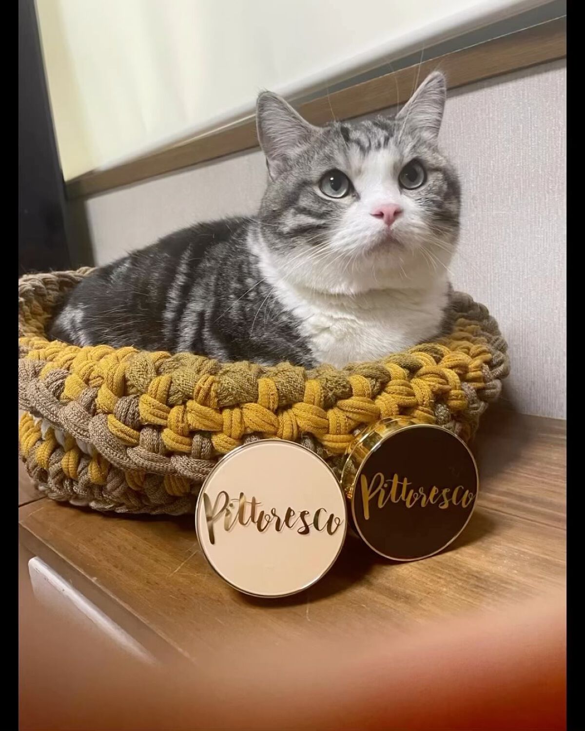 ミストBBクッション(リフィル込)/Pittoresco/クッションファンデーションを使ったクチコミ（1枚目）