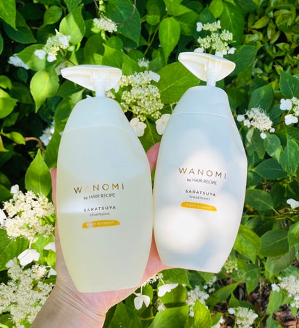試してみた】さらつや シャンプー/トリートメント WANOMIの 試してみた】さらつや シャンプー/トリートメント WANOMIの
