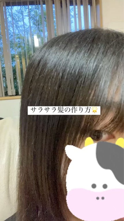 コンパクトスタイラー/TANGLE TEEZER/ヘアブラシを使ったクチコミ(1枚目)