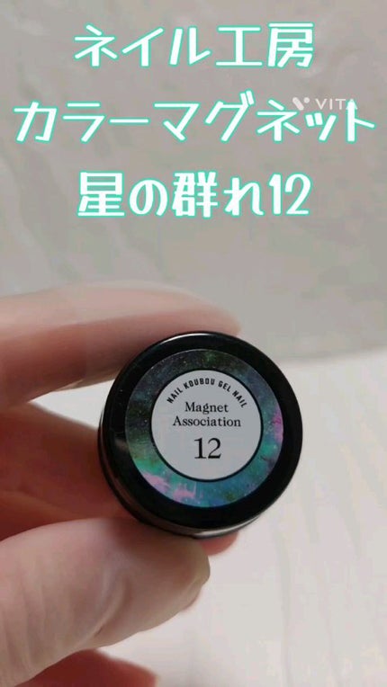 マグネットジェル/ネイル工房/ジェルネイルの人気ショート動画