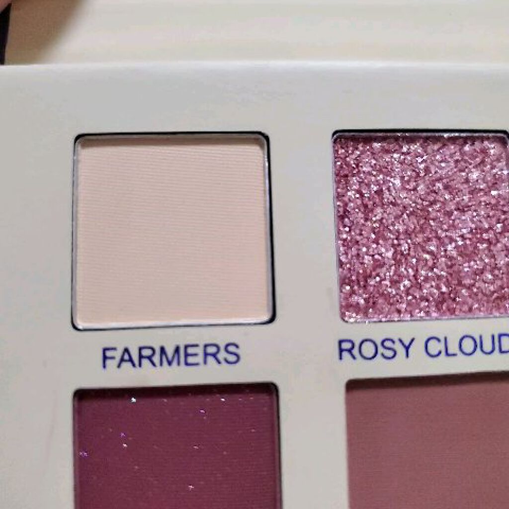 油絵紫穂麦畑20色アイシャドウ/JUDYDOLL/アイシャドウパレットの動画クチコミ1つ目