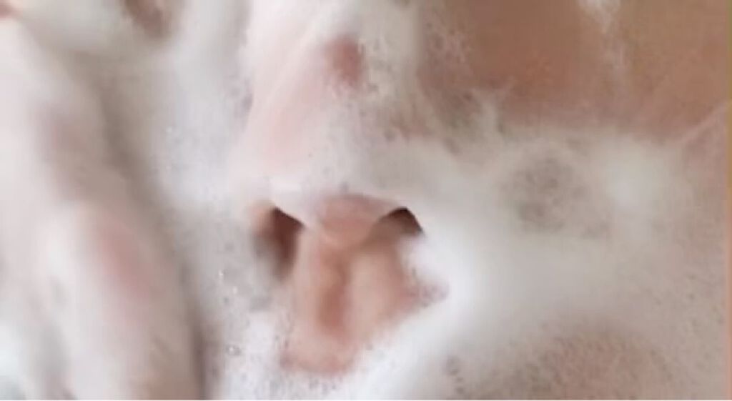 クリアフル ウォッシュ/オルビス/洗顔フォームを使ったクチコミ（3枚目）