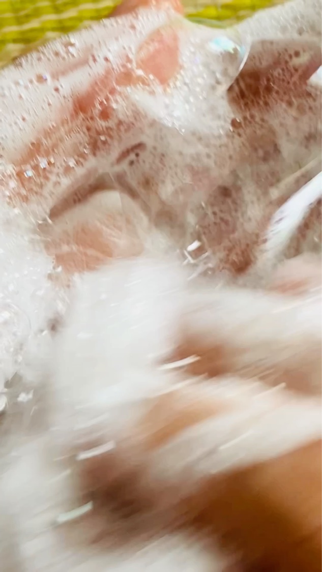 済州ツバキモイスチャートナー/Neulii/化粧水を使ったクチコミ（2枚目）