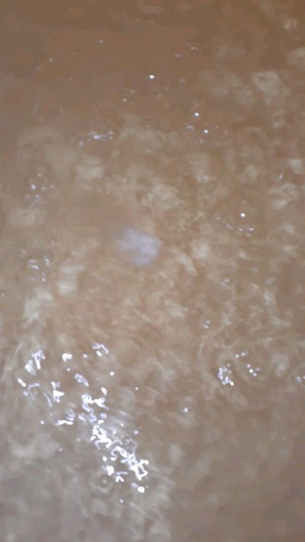 薬用ホットタブ 重炭酸湯Classic/HOT TAB/炭酸系入浴剤を使ったクチコミ(3枚目)