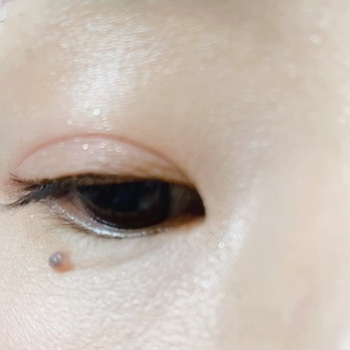 リアルアイパレットオールニュー/espoir/マルチパレットの動画クチコミ1つ目