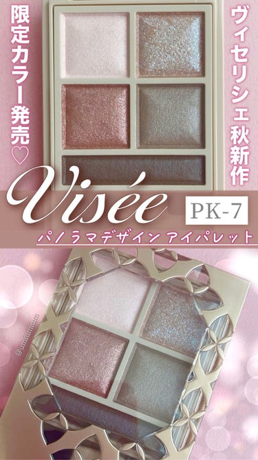 パノラマデザイン アイパレット/Visée/アイシャドウパレットを使ったクチコミ（1枚目）