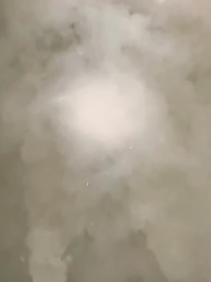 アンドハニー　サクラ　ビューティー　スパ　バスタブレット　6錠⼊り/&honey/炭酸系入浴剤を使ったクチコミ（3枚目）