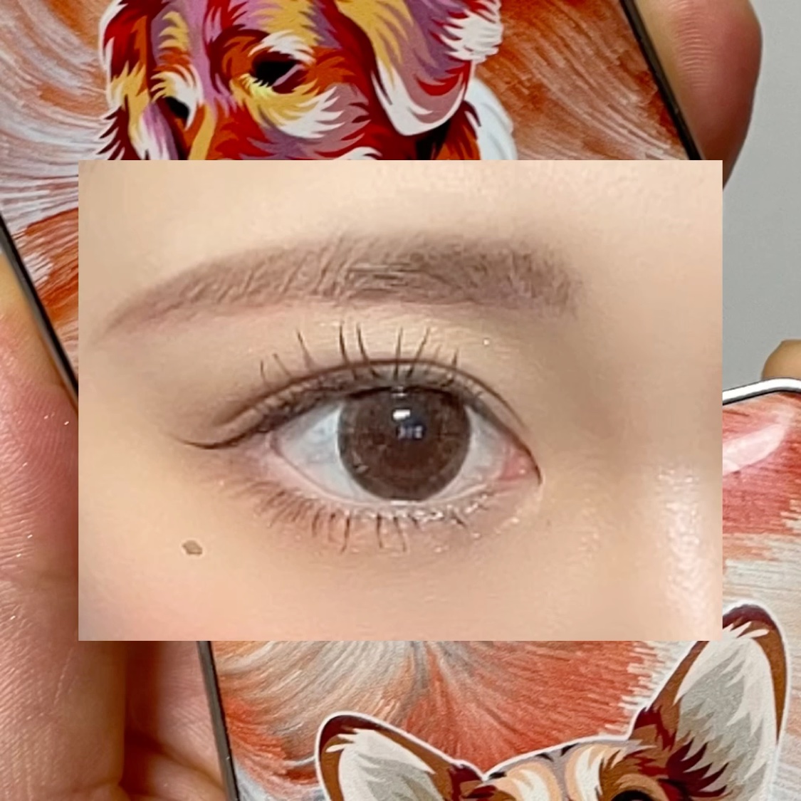 アニマルアイシャドウ(4シェード)/ZEESEA/アイシャドウパレットを使ったクチコミ（2枚目）