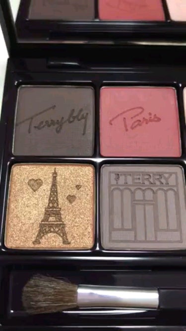 V.I.P EXPERT PALETTE TERRY BY PARIS/BY TERRY/パウダーアイシャドウを使ったクチコミ（3枚目）