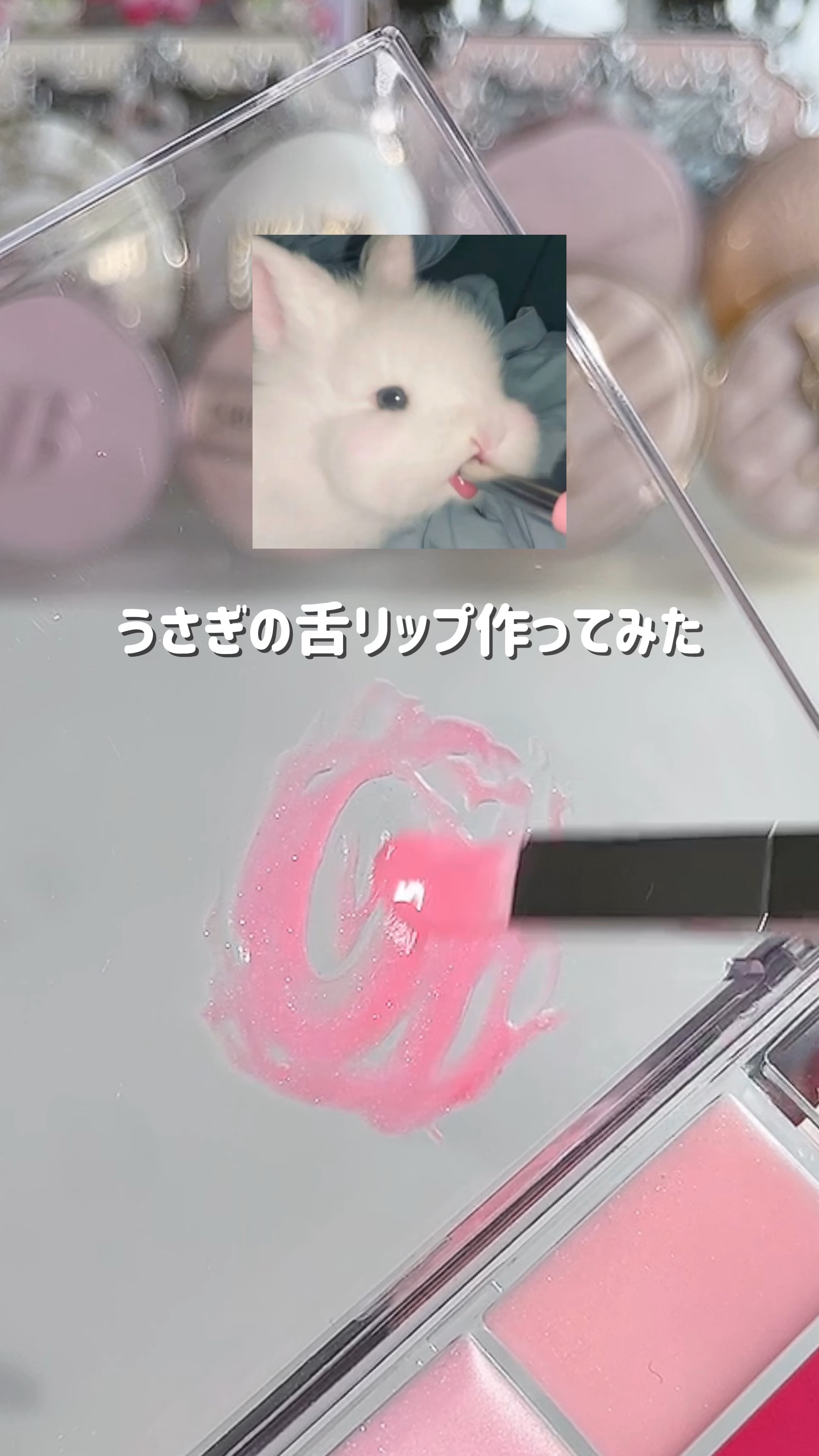 ソフトカラーリングリップパレット/wakemake/口紅の動画クチコミ1つ目