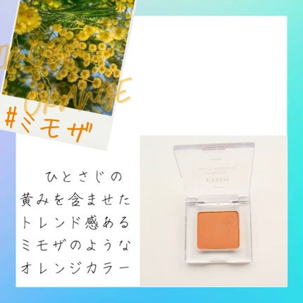 ミネラルマルチパウダー/エトヴォス/単色アイシャドウを使ったクチコミ(2枚目)