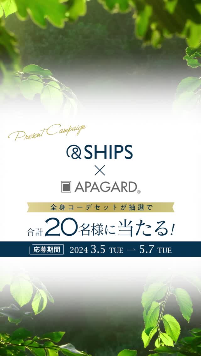アパガード×SHIPS　オフィス＆トラベルセット/アパガード/歯ブラシの動画クチコミ1つ目