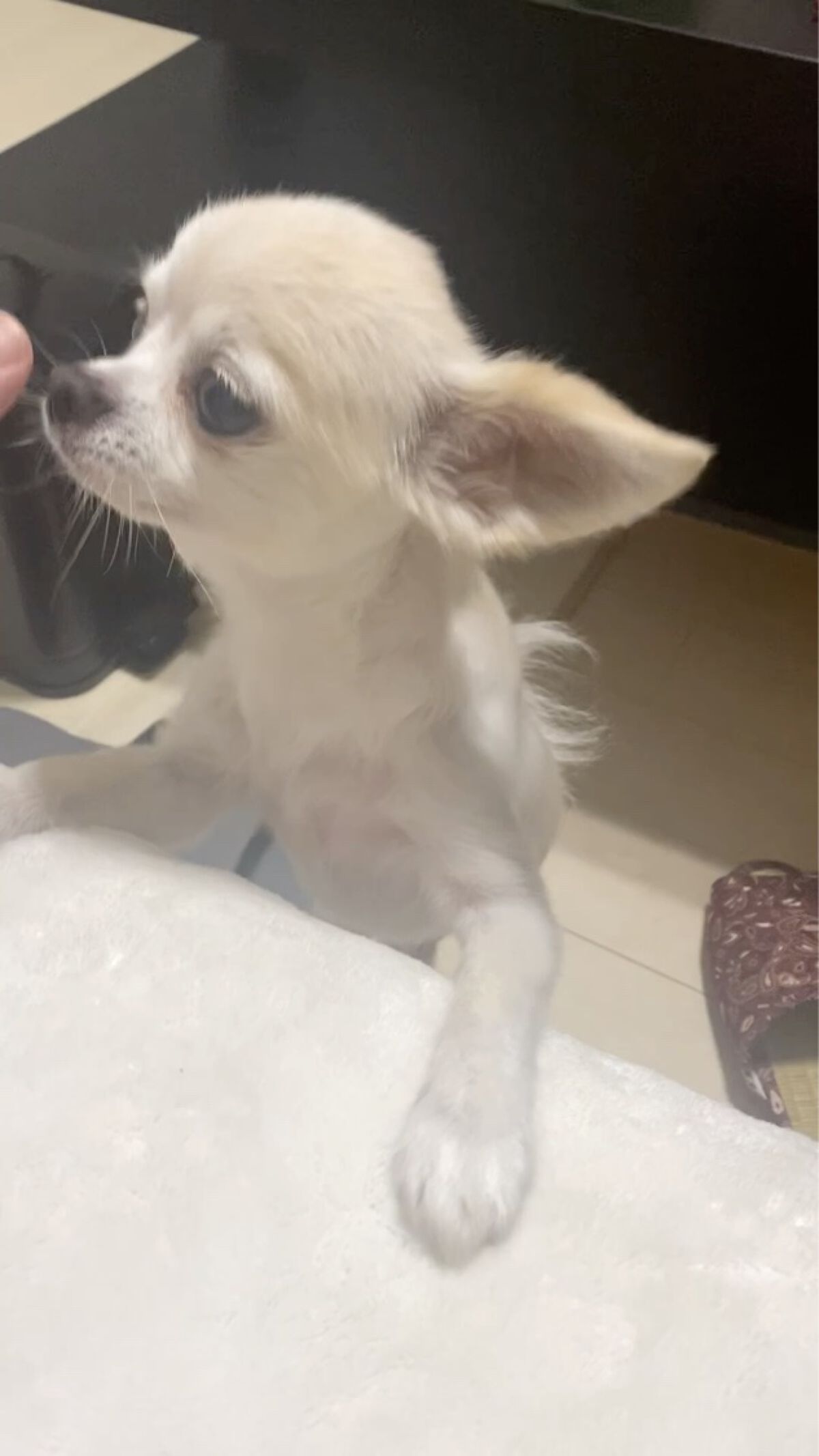 イレジスティブル ボディローション/GIVENCHY/ボディローションの動画クチコミ1つ目