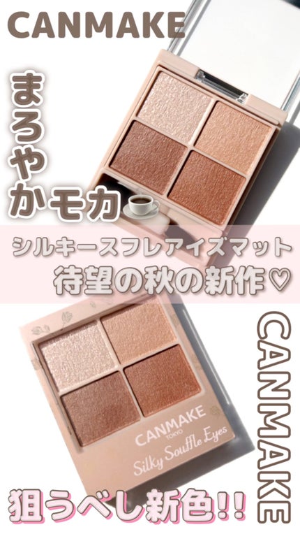 シルキースフレアイズ(マットタイプ)/キャンメイク/アイシャドウパレットの人気ショート動画