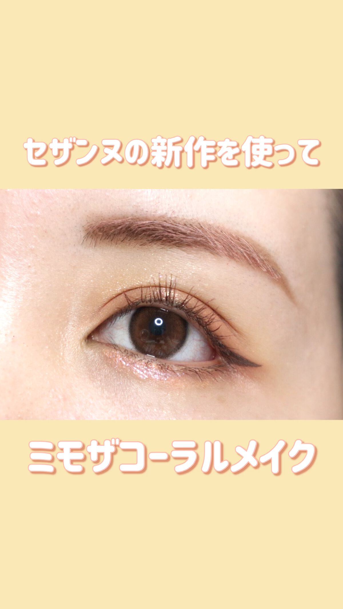 ベージュトーンアイシャドウ/CEZANNE/アイシャドウパレットを使ったクチコミ（1枚目）