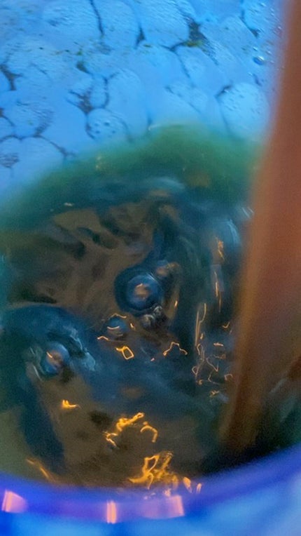 ベジパワープラス/ダイエットドリンク/ドリンクの人気ショート動画