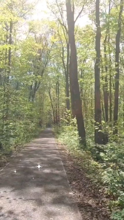 済州ツバキモイスチャートナー/Neulii/化粧水の人気ショート動画