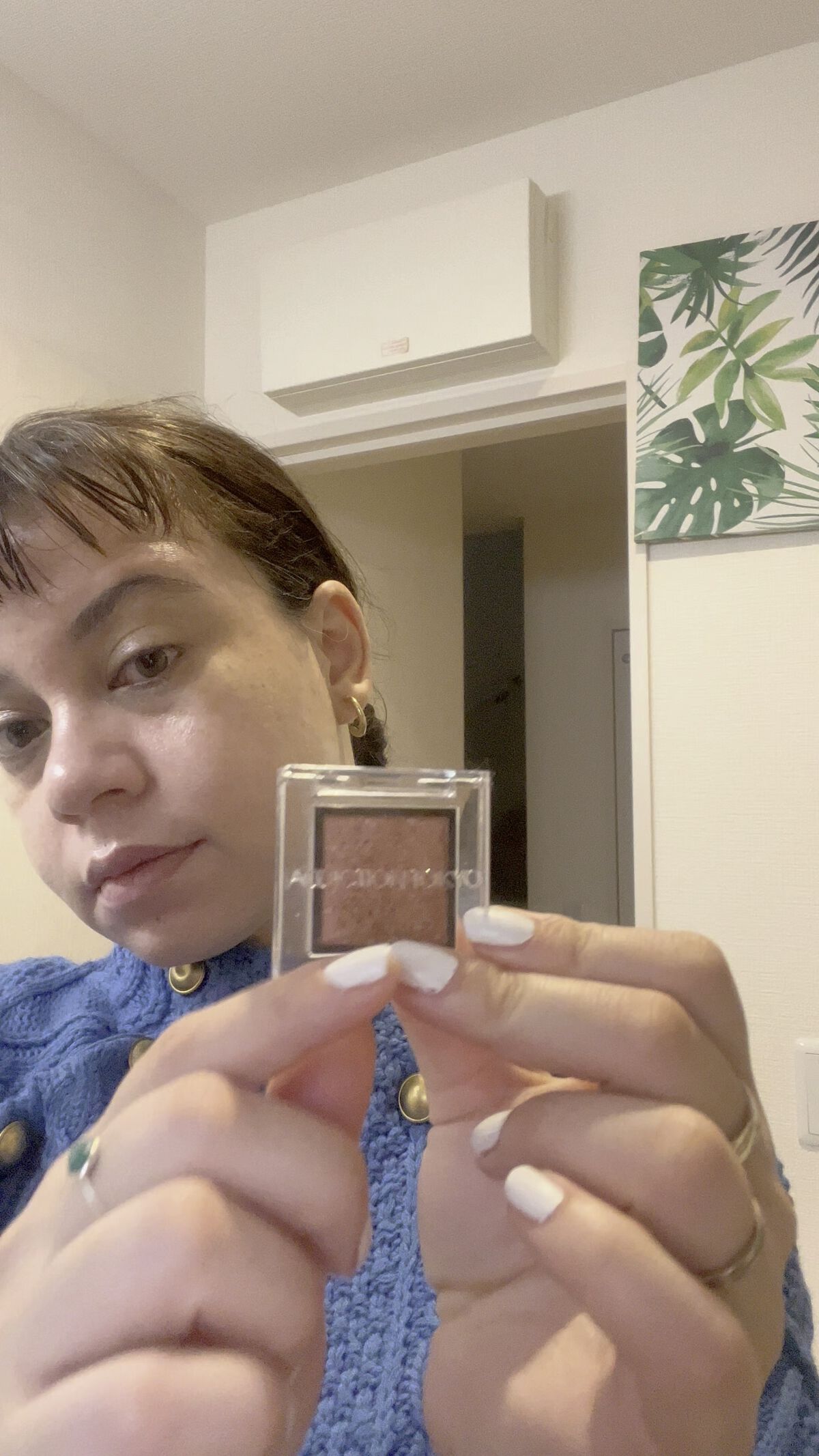 アディクション ザ アイシャドウ ソングス オブ レイン /ADDICTION/単色アイシャドウの動画クチコミ4つ目