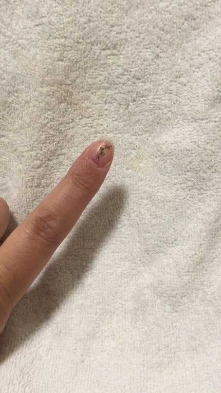 しずくウォーターネイルシール/キャンドゥ/ネイルシールの人気ショート動画