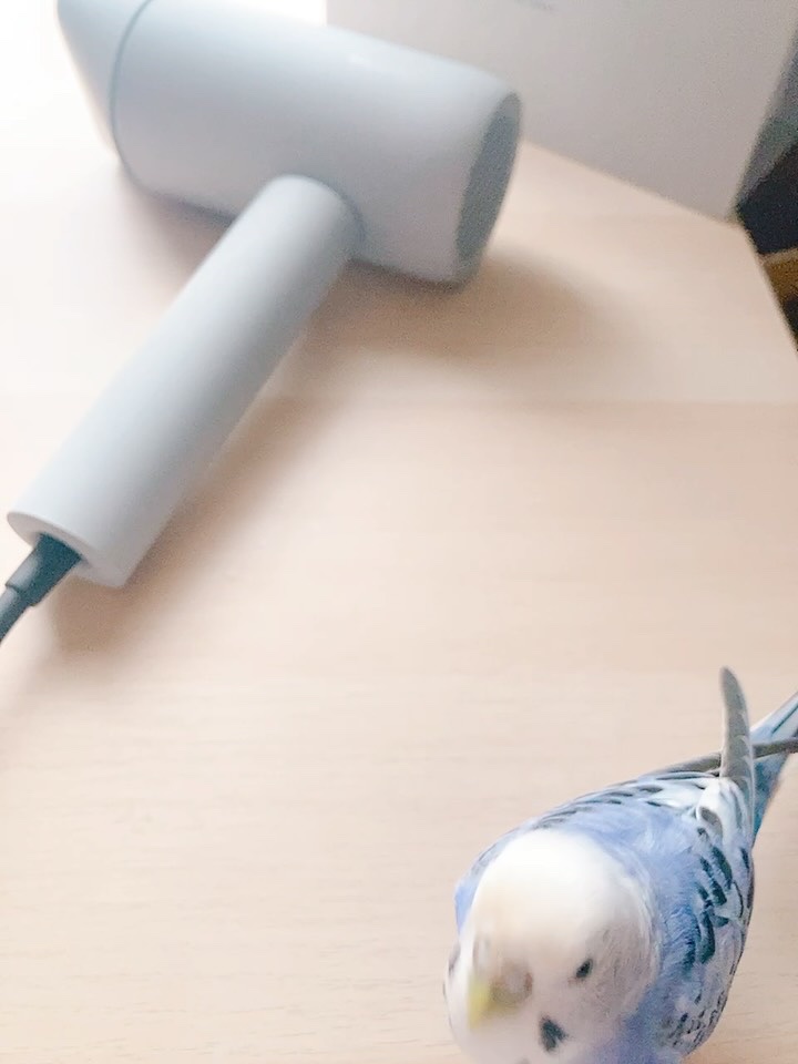 サロニア　エアトリートメントドライヤー​/SALONIA/ドライヤーの動画クチコミ3つ目