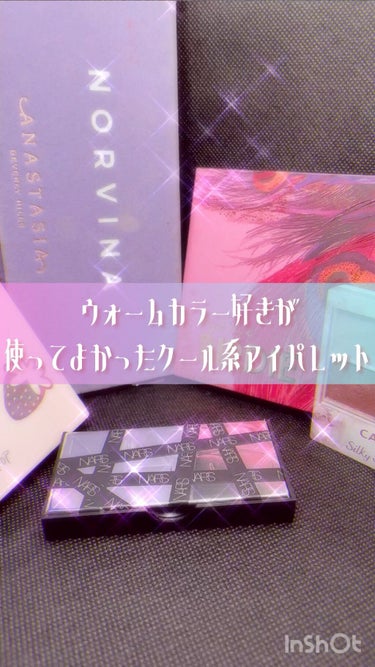 NORVINA/アナスタシア ビバリーヒルズ/パウダーアイシャドウを使ったクチコミ（1枚目）