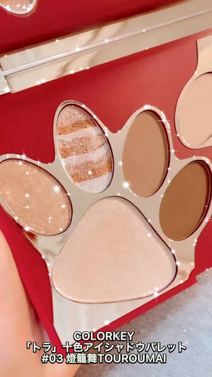 トラ十色アイシャドウパレット/COLORKEY/アイシャドウパレットの人気ショート動画