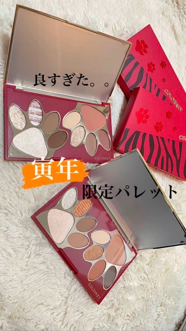 🤍最後目に付けた動画あり


「トラ」十色アイシャドウパレット
（Tiger Makeup Palette）

Qoo10とAmazonでご購入できます✨✨
価格：2580円

02はオレンジ、ブラウン