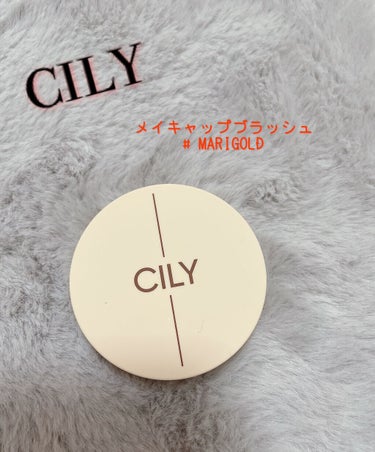 ブロッサムブラッシュ /CILY/パウダーチークを使ったクチコミ（1枚目）