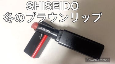 試してみた】ヴィジョナリー ジェルリップスティック/SHISEIDO | LIPS